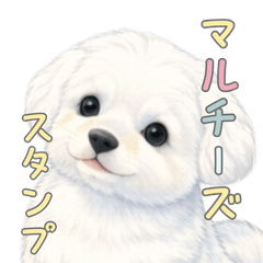 Can be used every day! Maltese stamp