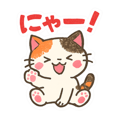 Mi-kun the Lucky Calico[Essential Daily]