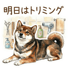 Sesame Shiba Inu Care Sharing Stickers