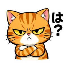 Tsundere Orange Tabby Cat