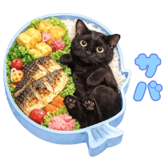 Mogu-Kawa Bento & Kitty