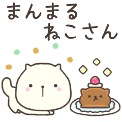 Round cat.White cat.