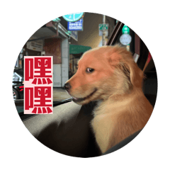 Cooper寶寶成長日記