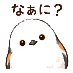 Everyday Use Shimaenaga Daily Life