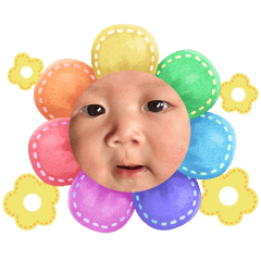 Araya_20260203142248