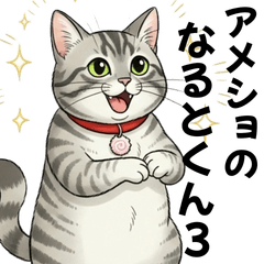American Shorthair cat Naruto sticker 3