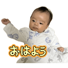 nyanp_20260203190730