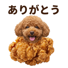 Fried Chicken Toy Poodle (spoiling)
