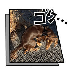 Coffee&Milk_20260203211019