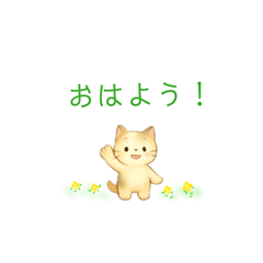 PiPiKo_20260203225656