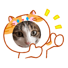 CHIKA_20260204093955