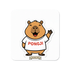 水豚澎吉的台灣生存報告