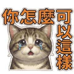 白爛貓球♥情緒勒索