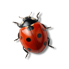 ชอบแกล้ง - บิ๊กสติกเกอร์ !