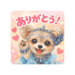 yokko_20260203220144