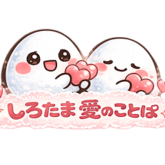 Shirotama Love Words