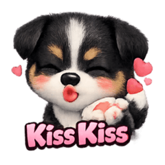 Khing06_20260203165026