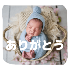 TANAKA family_20260203190729