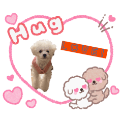 annie_20260203192012