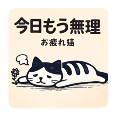 限界の日のための ハチワレ猫