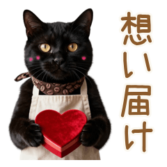 愛の圧が凄い黒猫バリスタ