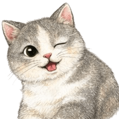 傲嬌貓女友的撒嬌日常