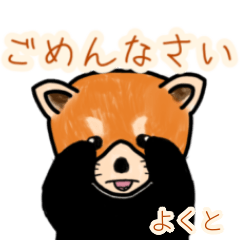 Yokuto's lesser panda