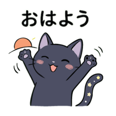 NpopoN_20260204082126