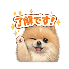 Kaori_20260202185111