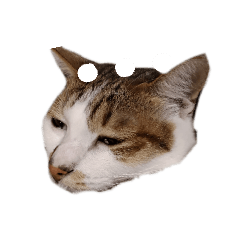 喵喵喵搞笑貼圖