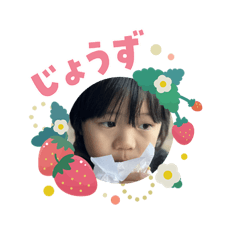 MASA_20260203194348