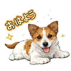 rikan.m_20260203201206