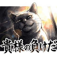 Beloved Community Cats