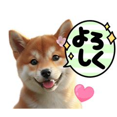 Masachan_20260203211348