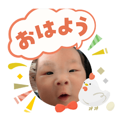 fujisan_20260203211701