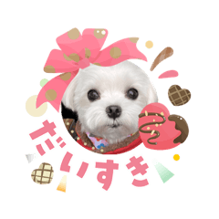 hisae_20260203202958