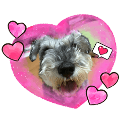 Hanamaru Yukke_20260203203254