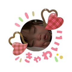 taiki.nara_20260203204744