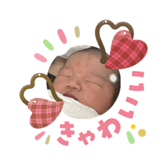 tai14ga_20260203204916