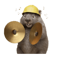 kawasiba_20260203204243