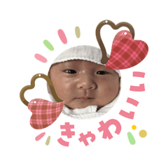 Tsuru_20260203212839