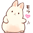 Soft and cute rabbits