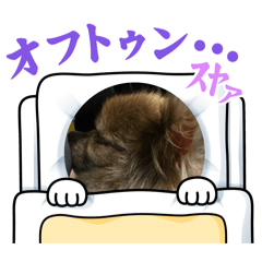 Himari_20260203221107