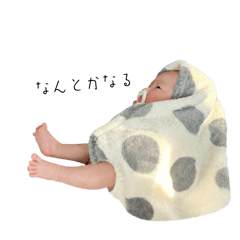 Kashio_20260203223501