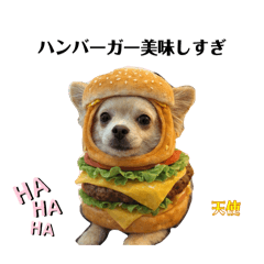 Alice_20260203223722