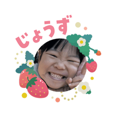 Koohaki_20260203234113