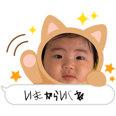 yota_202602040001313