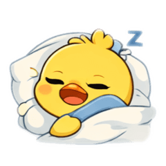 Cute duck Everyday
