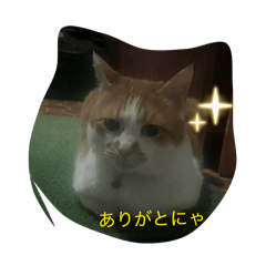 haru7_20260204000540