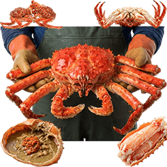 Kepiting Raja (Realistic)